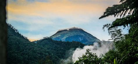 A Royal Welcome: 15 Things To Do In Davao, The King City Of .